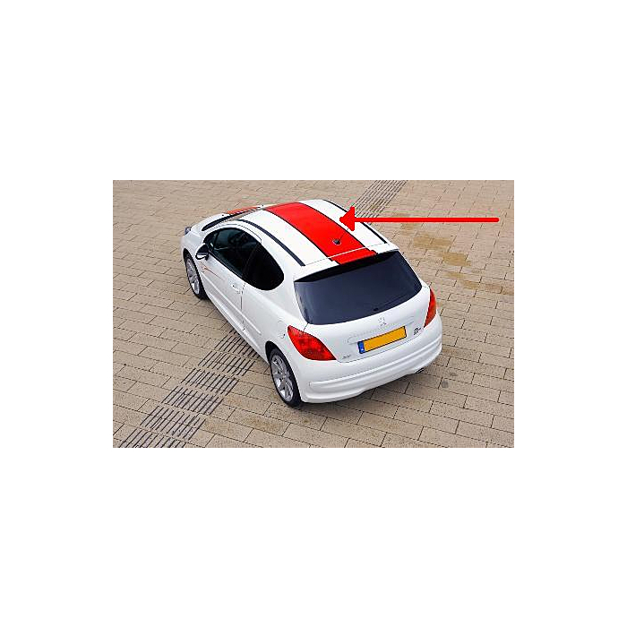 Peugeot 207 Le Mans striping roof