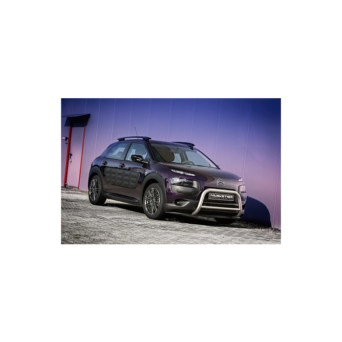 Musketier Citroën C4 Cactus stainless steel sale package titanium-look