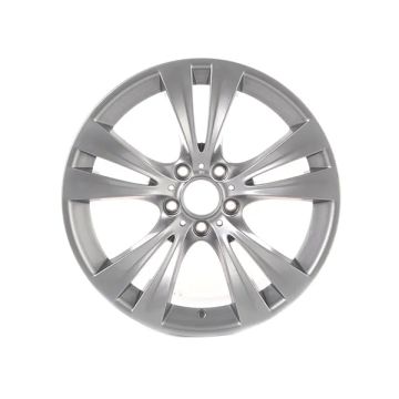 BMW wheel 19" Double Spoke Style 309