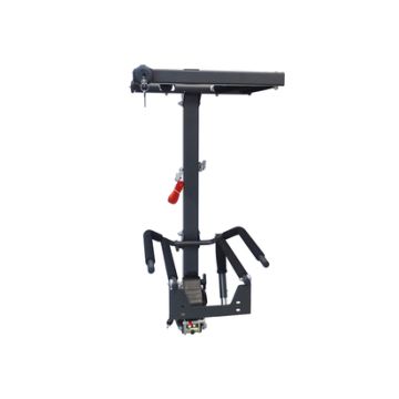 Ford ski and snowboard carrier for mounting on the towbar