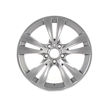 BMW wheel 19" Double Spoke Style 309