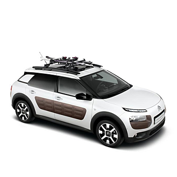 Thule roof rails ski carrier