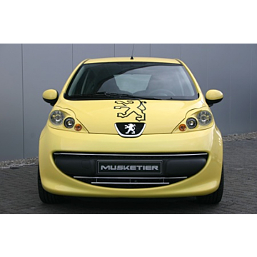 Musketier Peugeot 107 moldings grille chrome