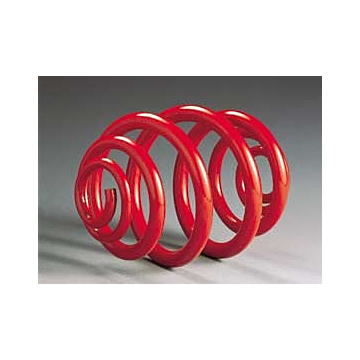Irmscher lowering springs set