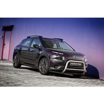 Musketier Citroën C4 Cactus stainless steel sale package titanium-look