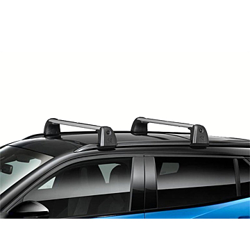Peugeot 2008 (2019 - ..) dakdragers