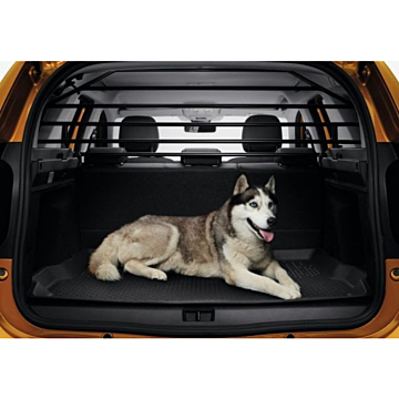 Dacia Duster 2018 - .. separation grill
