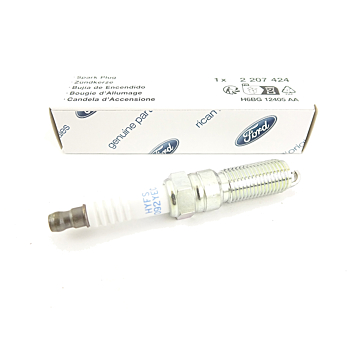 Ford Bougie (1.0 Ecoboost)