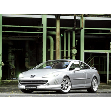 Musketier Peugeot 407 coupé voorbumperspoiler