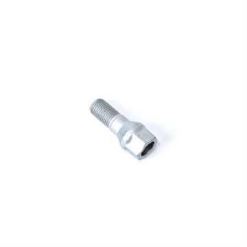 DS wheel bolt for steel wheel