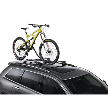 Lancia Thema upright bike carrier