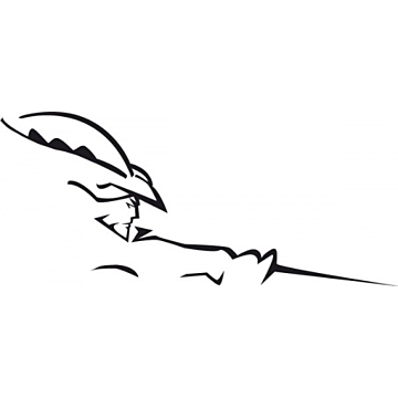 Musketier Peugeot 206 decor sticker