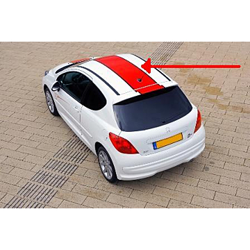 Peugeot 207 Le Mans striping roof