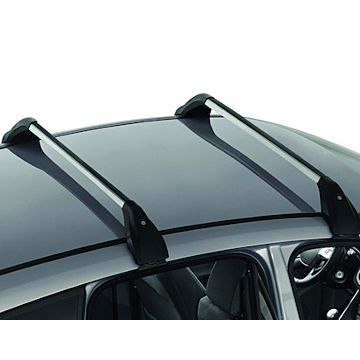 Ford C-MAX 11/2010 - .. roof base carrier