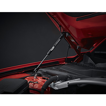 Ford Mustang (03/2015 - 03/2023) hood gas struts with laser-engraved Ford Performance logo