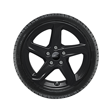 Ford Kuga (12/2019 - ..) alloy wheel with winter tire 16", 5-spoke design, black