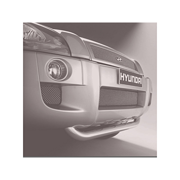 Hyundai Tucson (2004 - 2010) grille in bumper