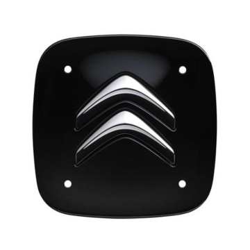 Citroen center cap
