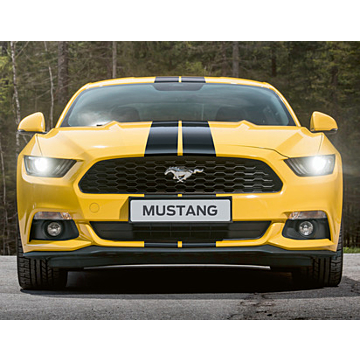 Ford Mustang (06/2016 - 10/2017) racing stripes Over-the-top, glossy black