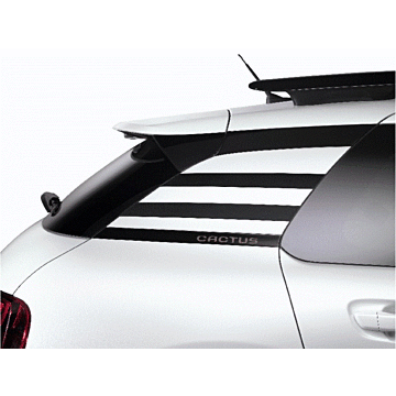 Citroën C4 Cactus sticker set 'Stripe'