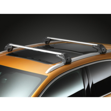 DS7 roof base carriers (for models with roof rails)